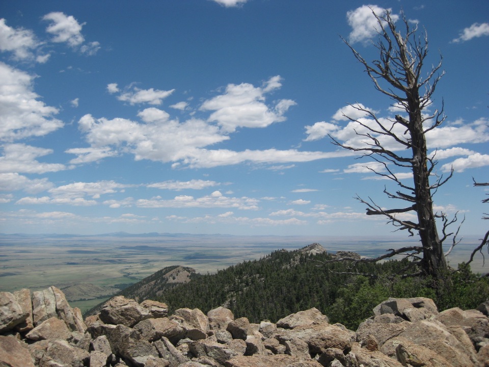 Philmont
